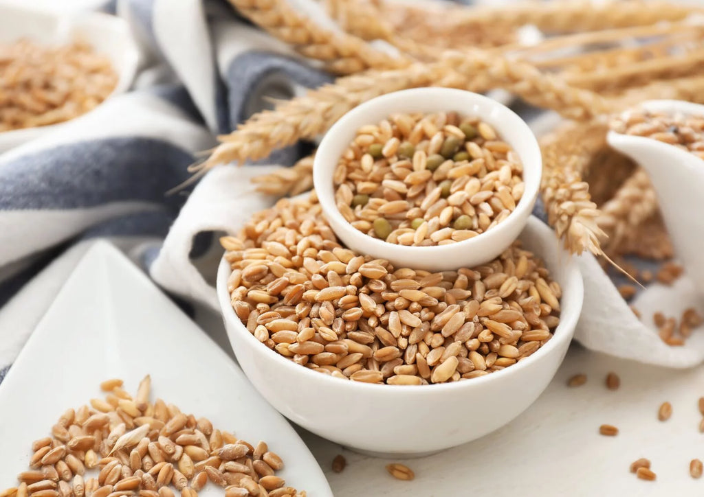 20 Pounds Raw Wheat Berries S2059