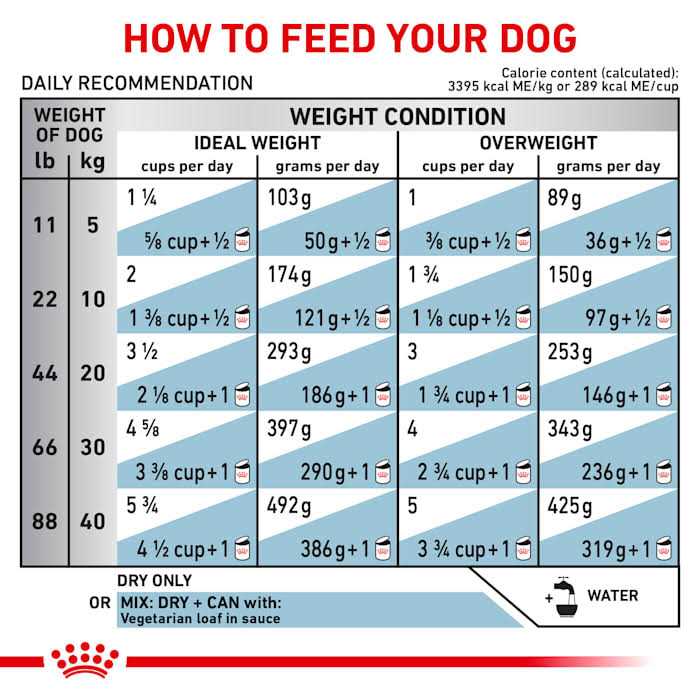 Veterinary Diet Canine Vegetarian Dry Dog Food Y714