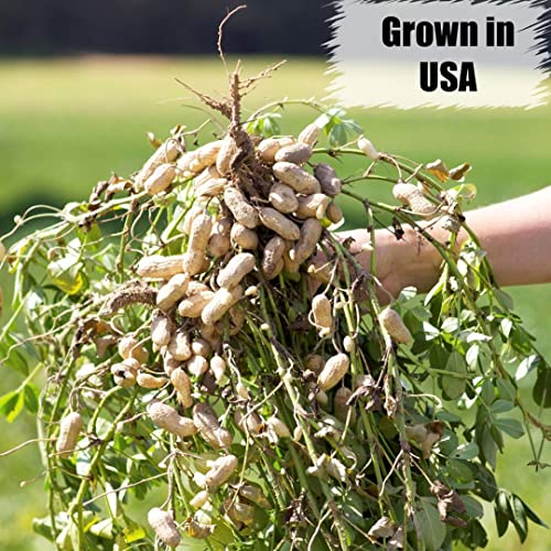 Wildlife Shelled Peanuts, 10 lbs N67009