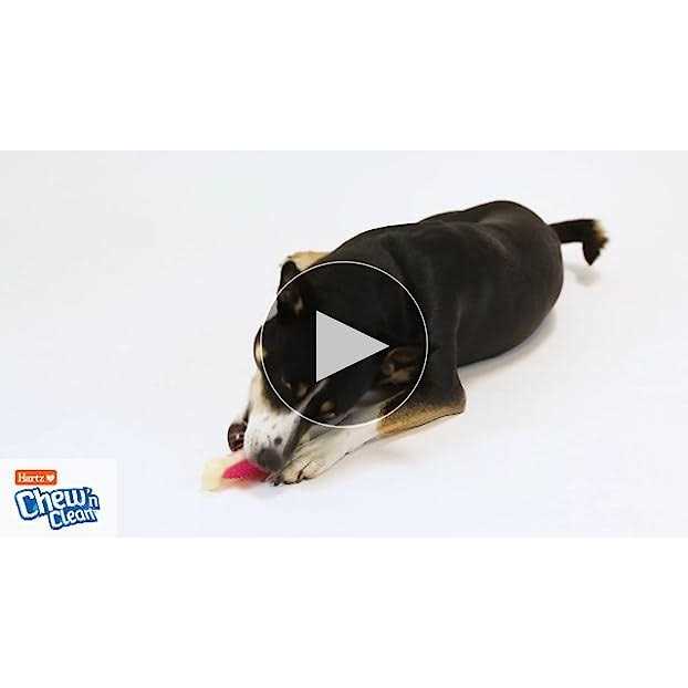 Chew 'n Clean Dental Duo Dog Chew Toy Treat D142