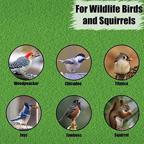 Wildlife Shelled Peanuts, 10 lbs N67009