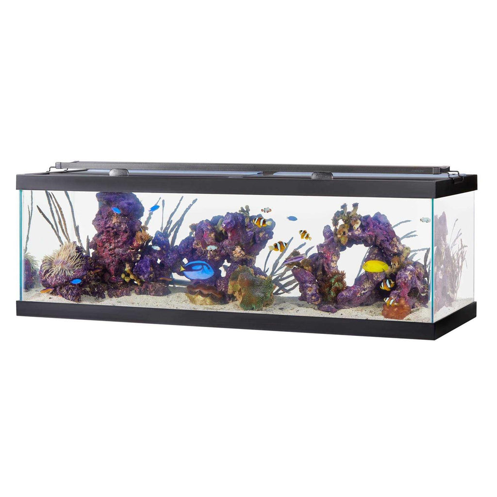 Standard Glass Rectangle Aquarium S940729