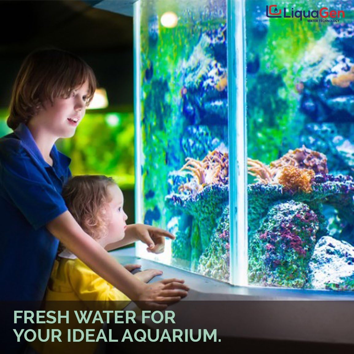 Aquarium Reef Reverse Osmosis Deionization Water Filter System with TDS Meter, Pressure Gauge and Electrical High Flow Booster Pump P770805