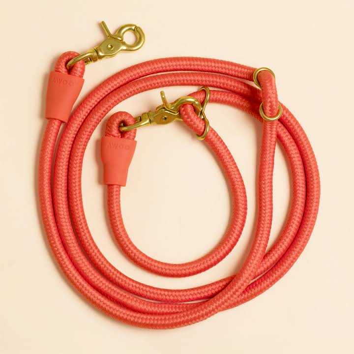 Pet Leash F289