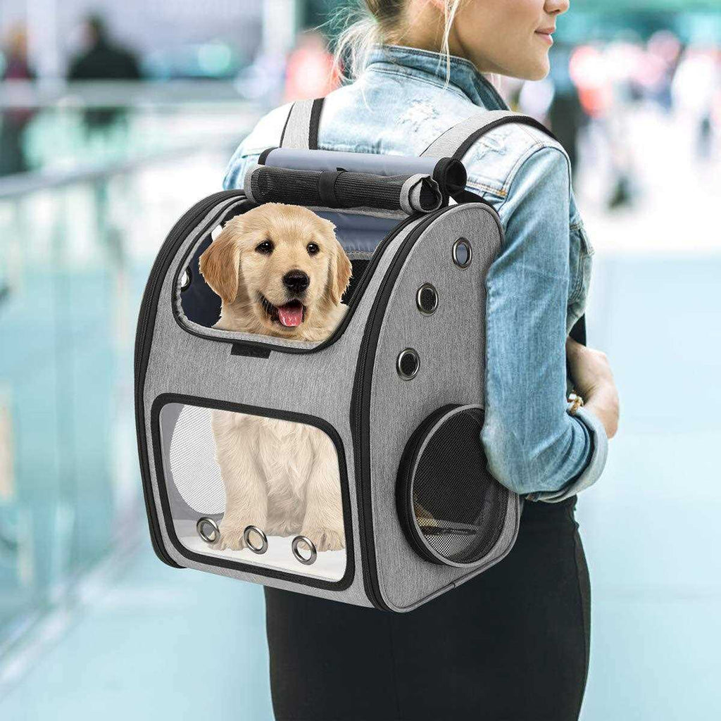 Expandable Pet Carrier Backpack A690