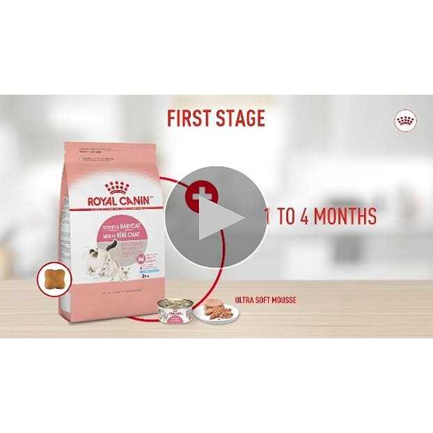 Persian Kitten Dry Cat Food W759