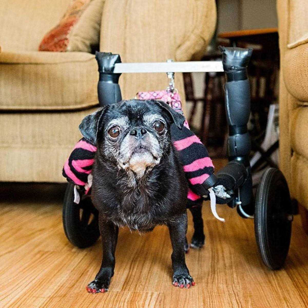 Large Toegrips for Dogs X1894