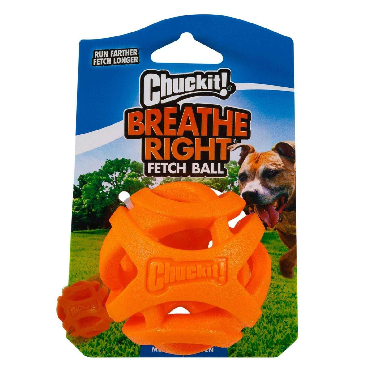 Fetch Ball E6294