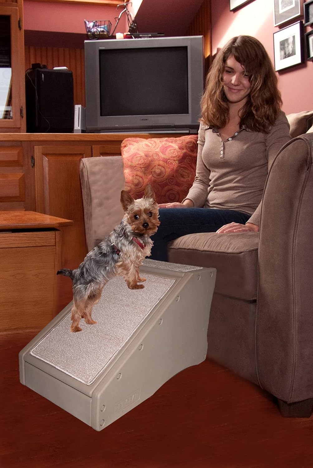 Stair and Ramp Combination for Dogs/Cats, Lightweight, Pack of 2 R220