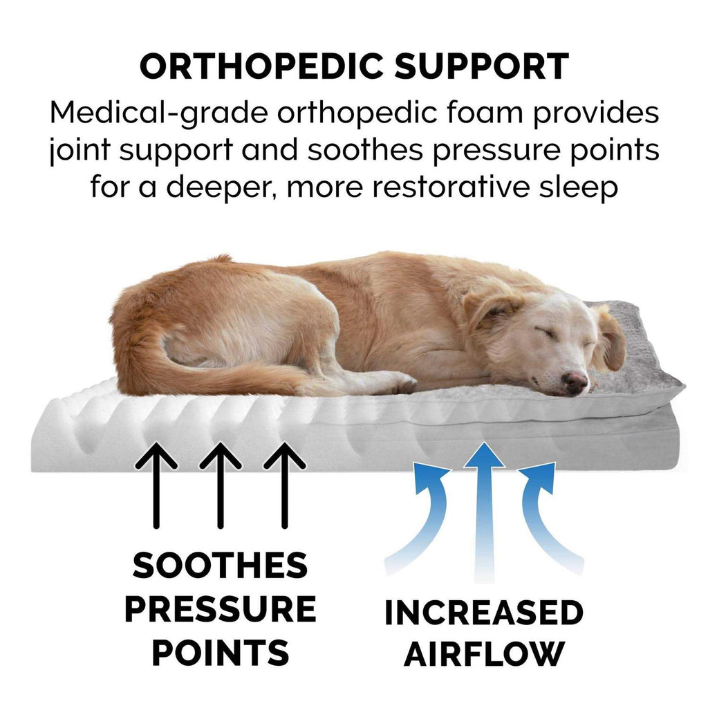 Mink Fur & Suede Pillow-Top Orthopedic Dog Bed Y44860