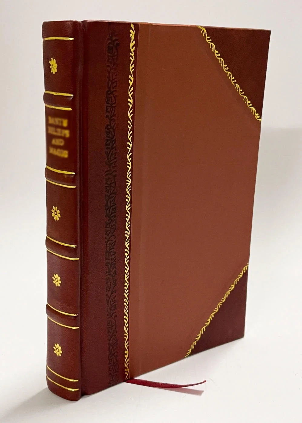Geological Survey P339402