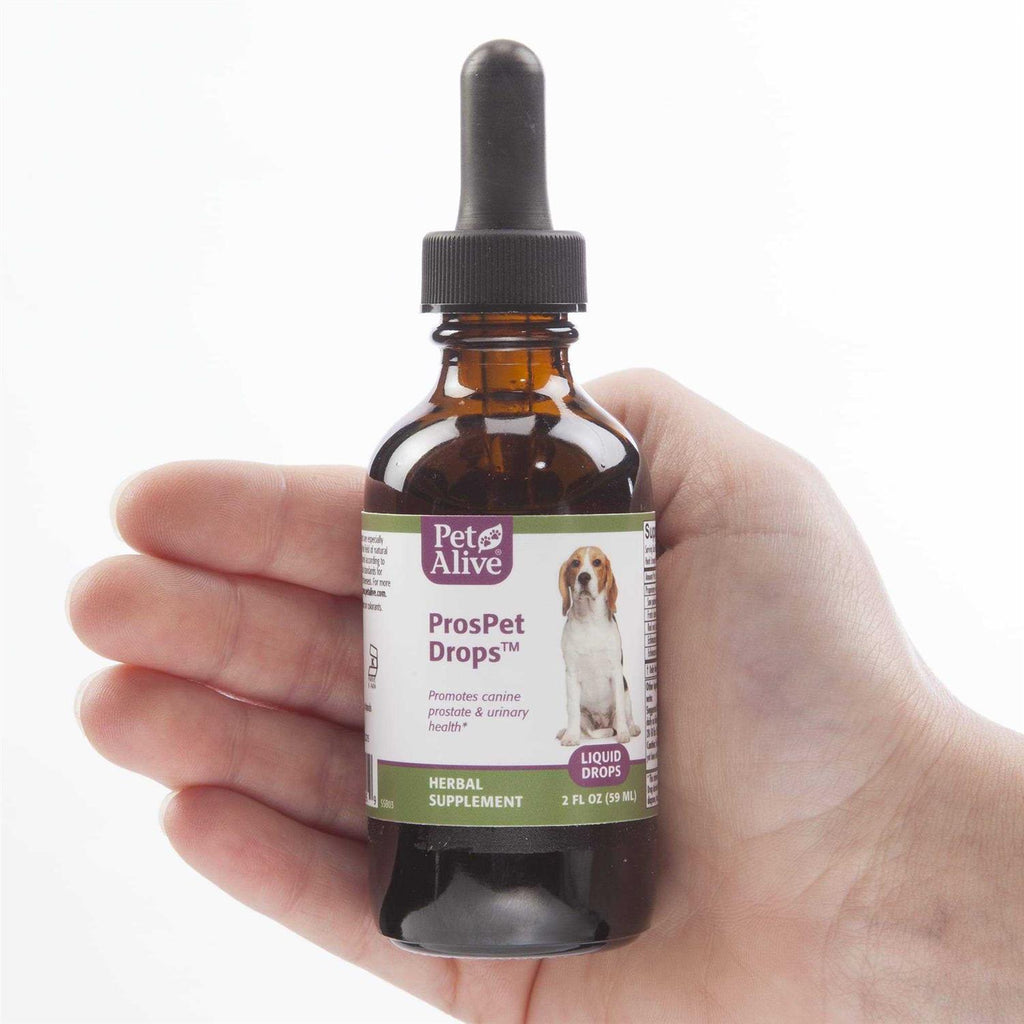 Prostate Health Dog Supplement R11974