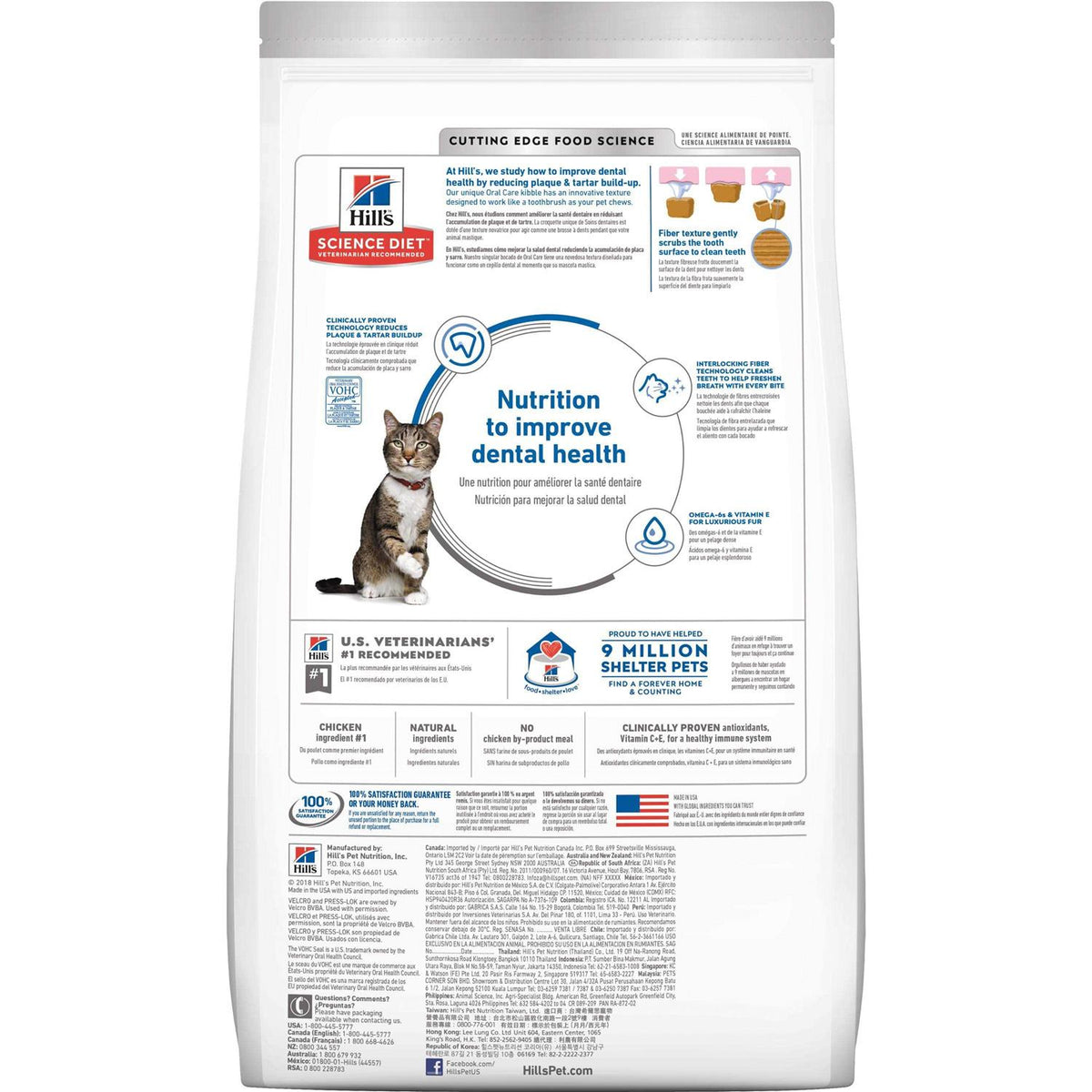 Adult Dry Cat Food X829634
