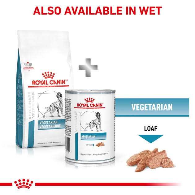 Veterinary Diet Canine Vegetarian Dry Dog Food Y714