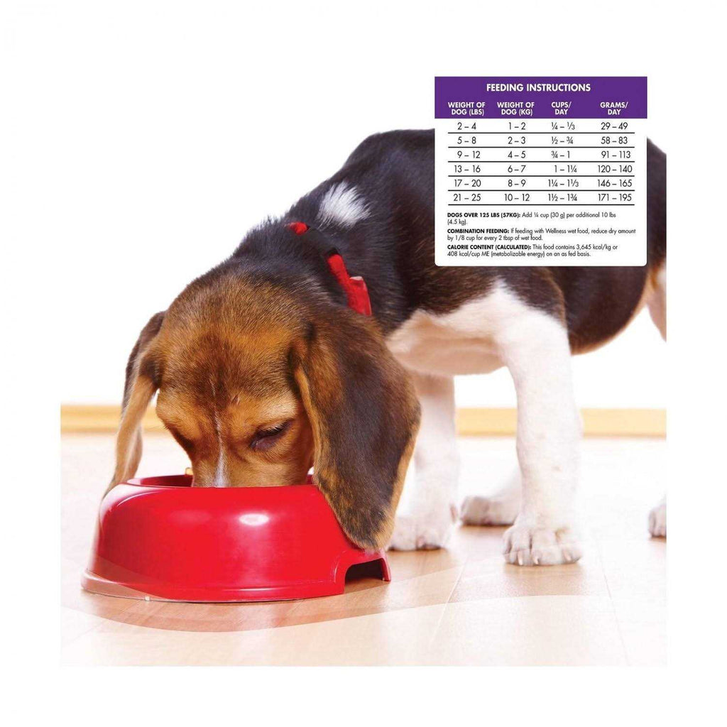 Small Breed Dog Food B92707