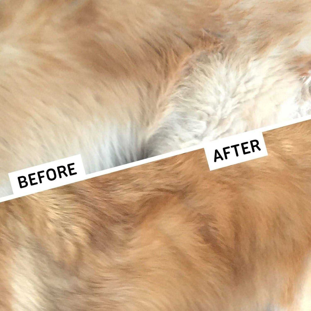 2-Sided Dematting Comb Grooming Rake for Cats & Dogs J644037
