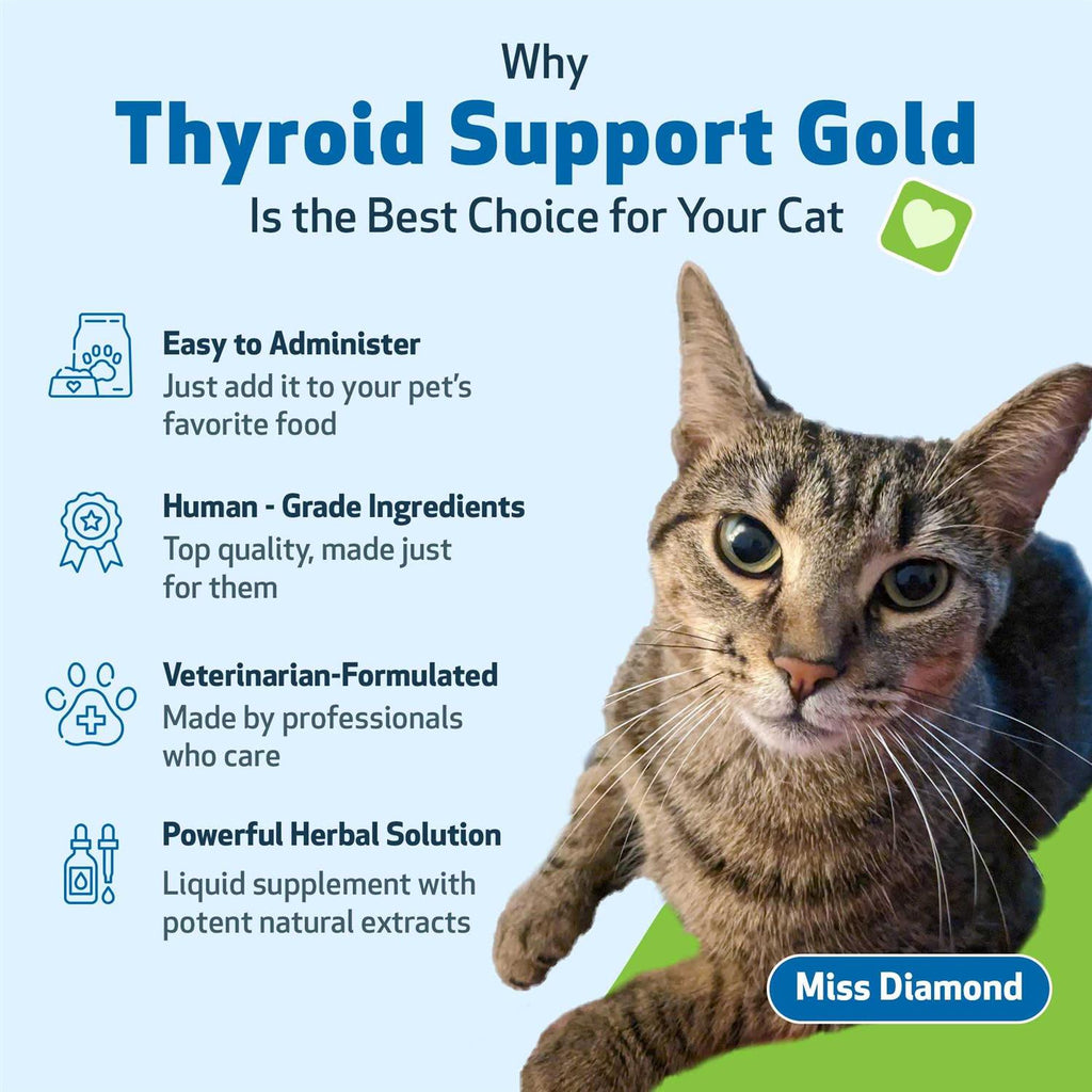 Thyroid Support for Cats S5490