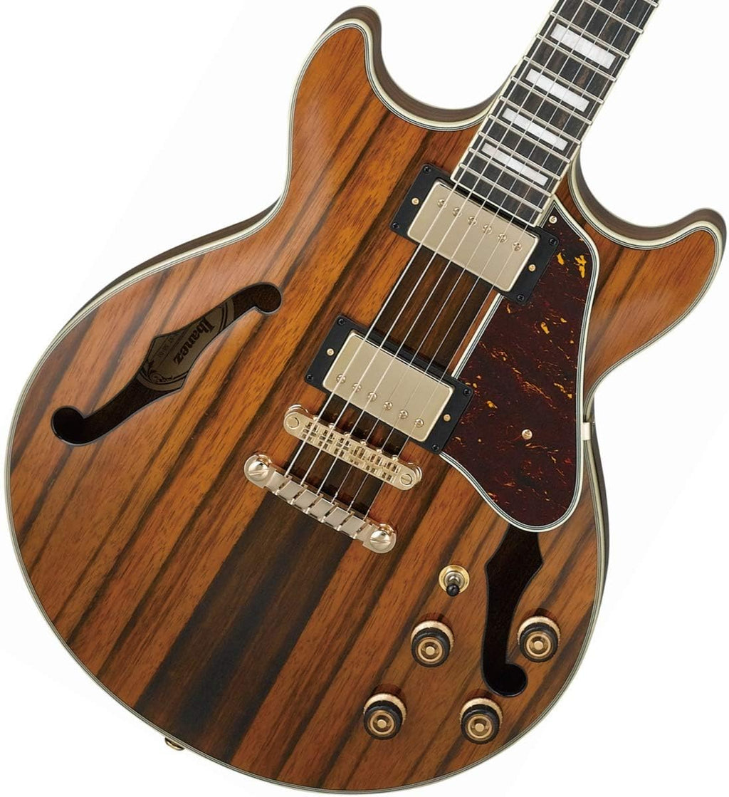 Macassar Ebony Semi-Hollow Body Electric Guitar M7709