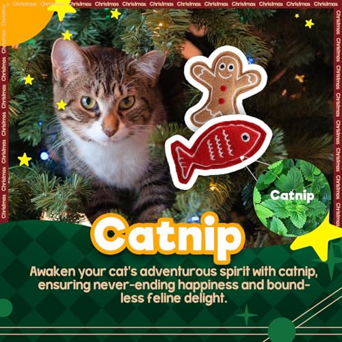 Catnip Crinkle Sound Cat Toys 2-Pack N191