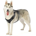 Adjustable Dog Harness with Pockets Q521