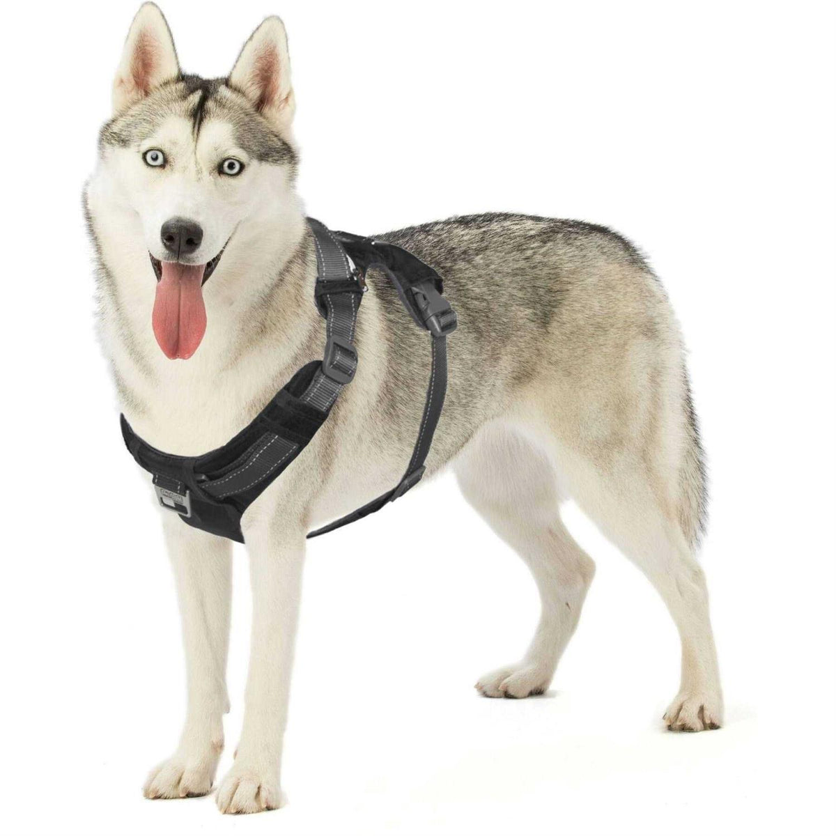 Adjustable Dog Harness with Pockets Q521