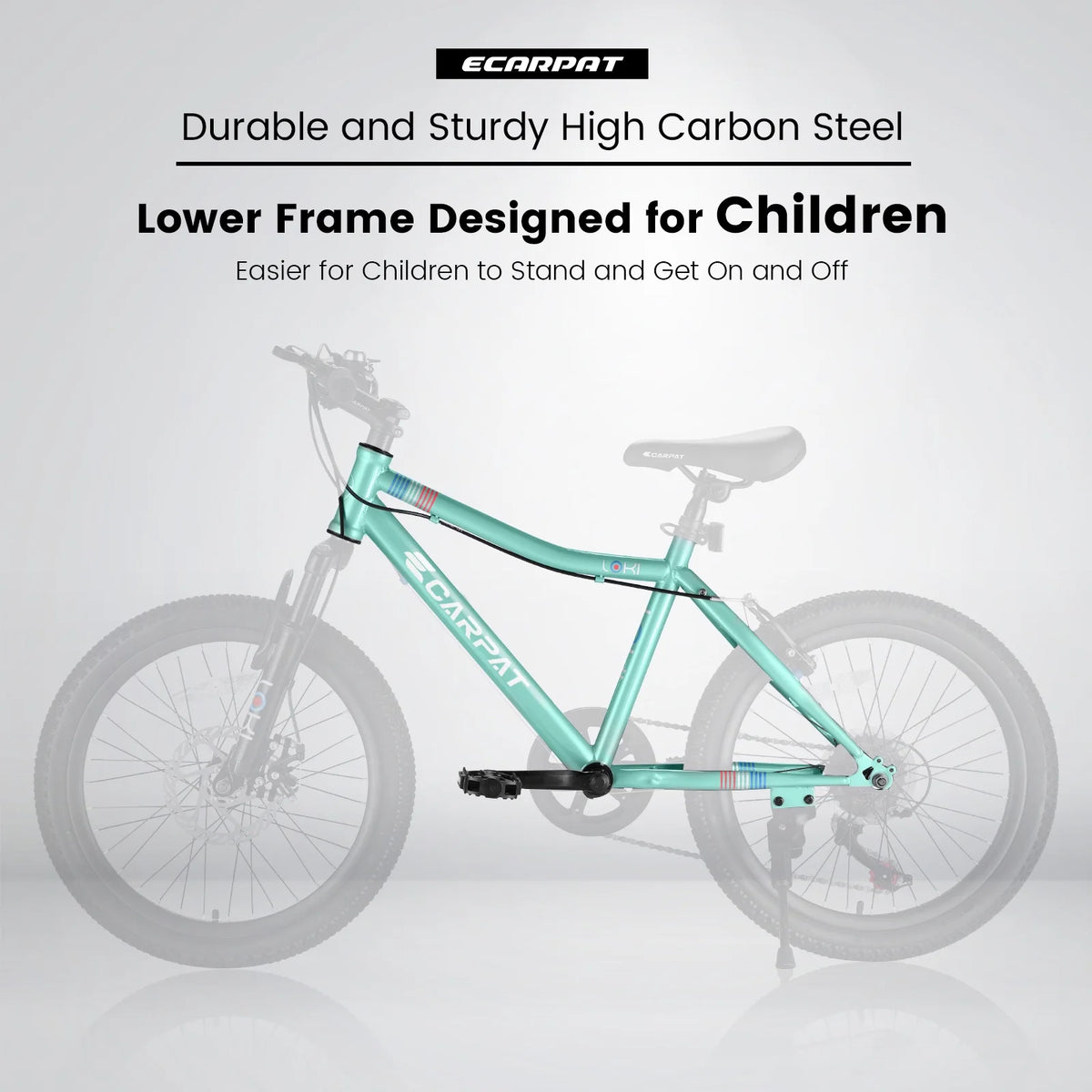 20 inch 7 Speed Kids Mountain Bike M46943