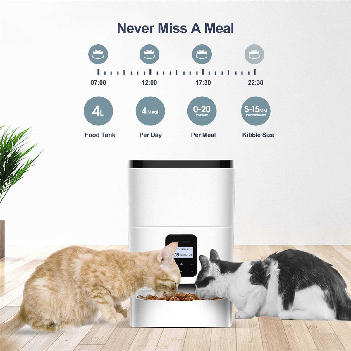Automatic Dog & Cat Feeder J818885