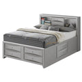 Queen Storage Bed Silver Champagne S937