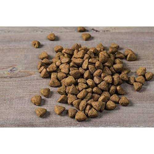 Small Breed Dry Dog Food Turkey A82554