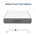 14 Medium Plush Gel Memory Foam Spring Mattress with Pillow, Twin W169