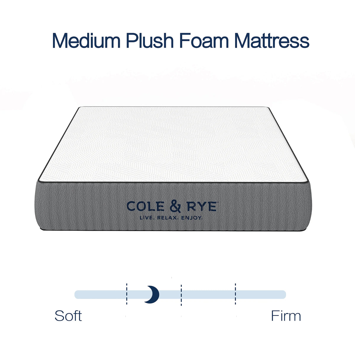 14 Medium Plush Gel Memory Foam Spring Mattress with Pillow, Twin W169