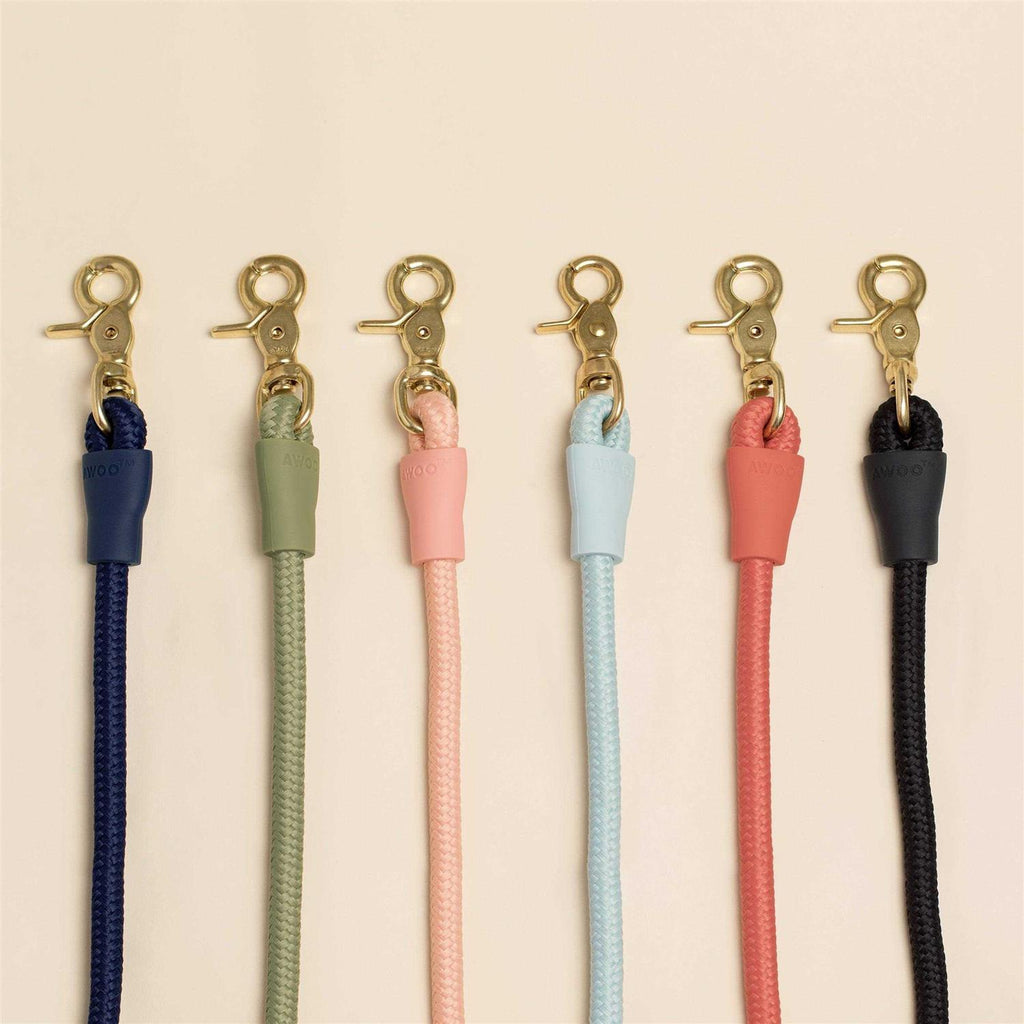 Pet Leash F289