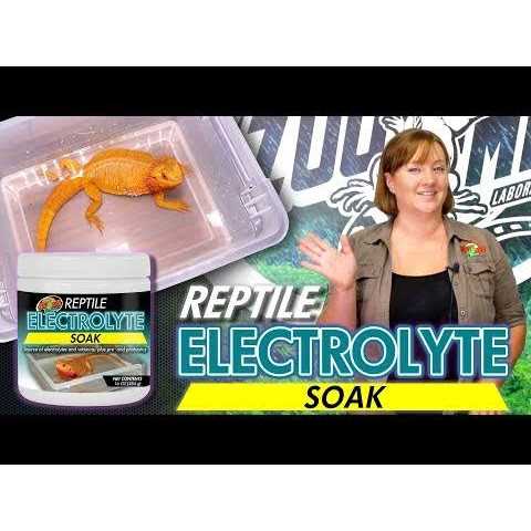 Reptile Electrolyte Soak Q350