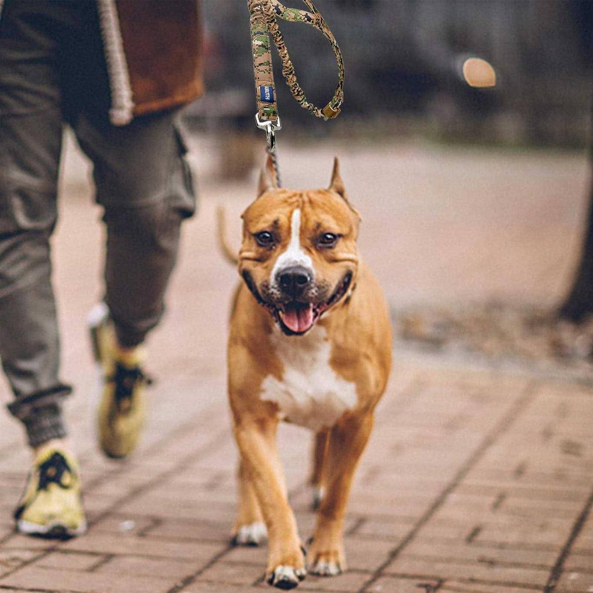 Heavy Duty Bungee Dog Leash C214206