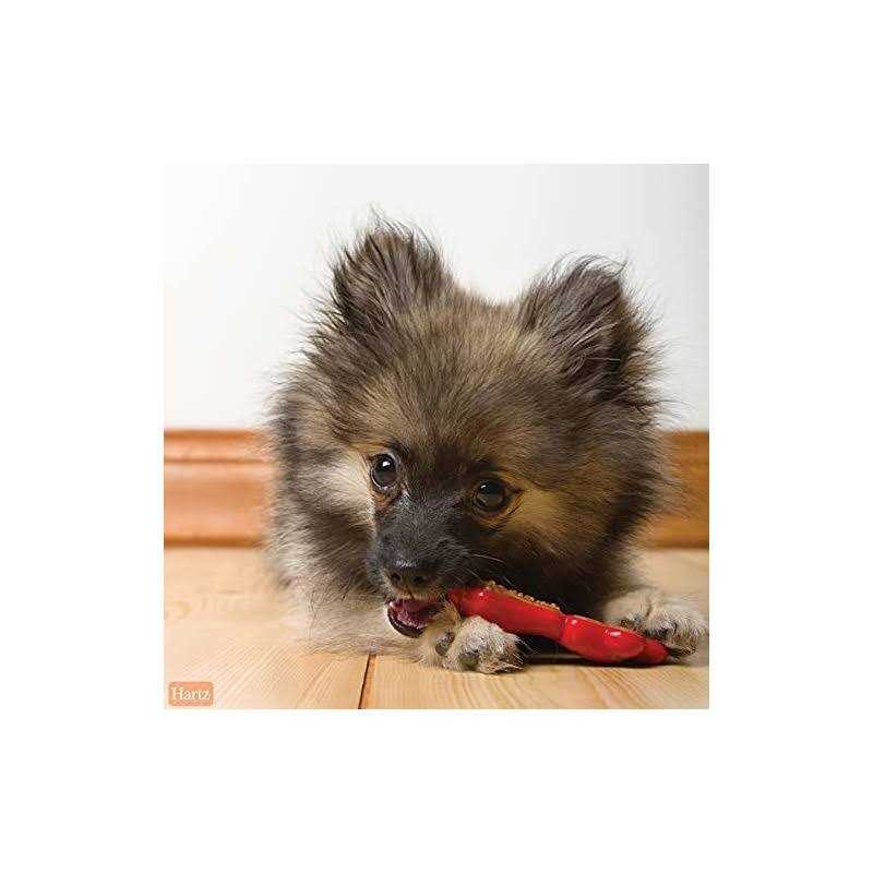 Chew 'n Clean Dental Duo Dog Chew Toy Treat D142