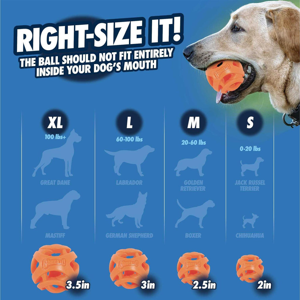 Fetch Ball E6294