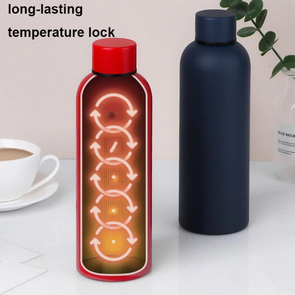 17.6 oz Stainless Steel Insulated Thermos Bottle M741
