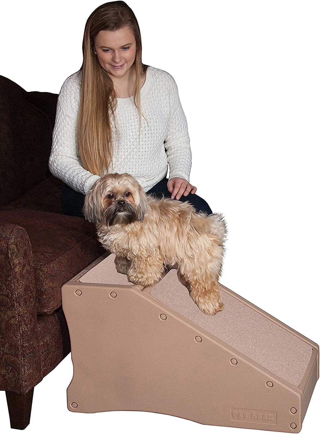 Stair and Ramp Combination for Dogs/Cats, Lightweight, Pack of 2 R220