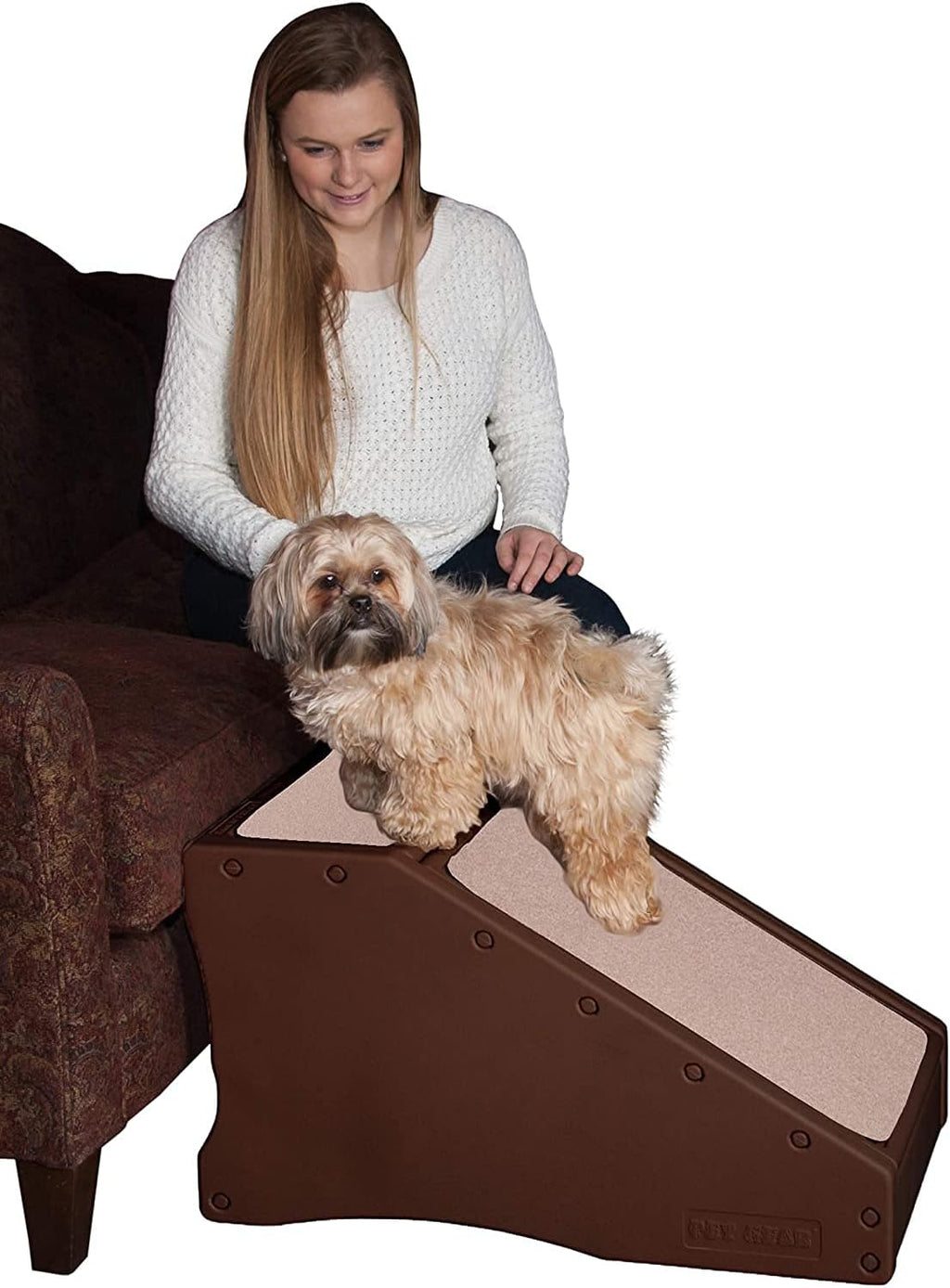 Stair and Ramp Combination for Dogs/Cats, Lightweight, Pack of 2 R220