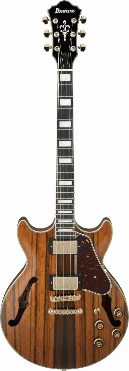 Macassar Ebony Semi-Hollow Body Electric Guitar M7709
