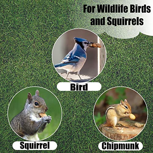 Wildlife Shelled Peanuts, 10 lbs N67009