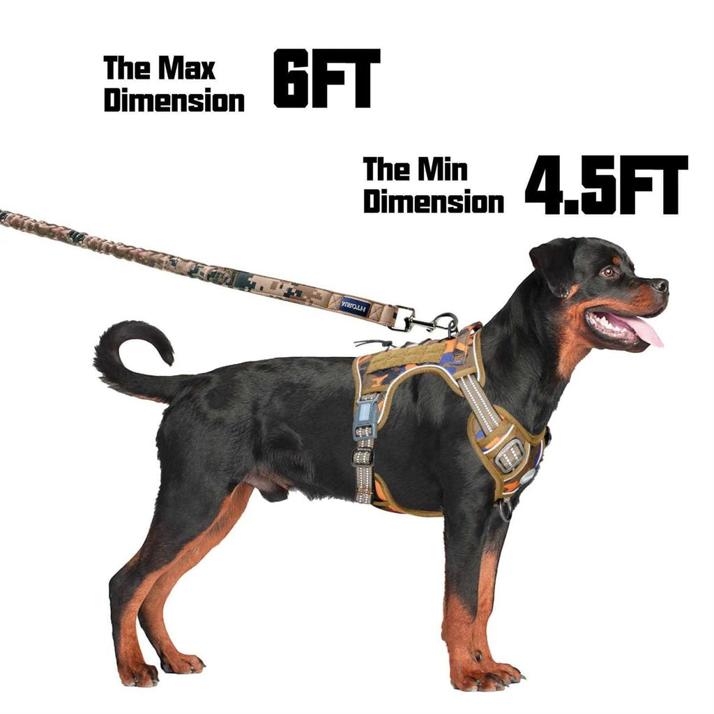 Heavy Duty Bungee Dog Leash C214206