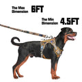 Heavy Duty Bungee Dog Leash C214206