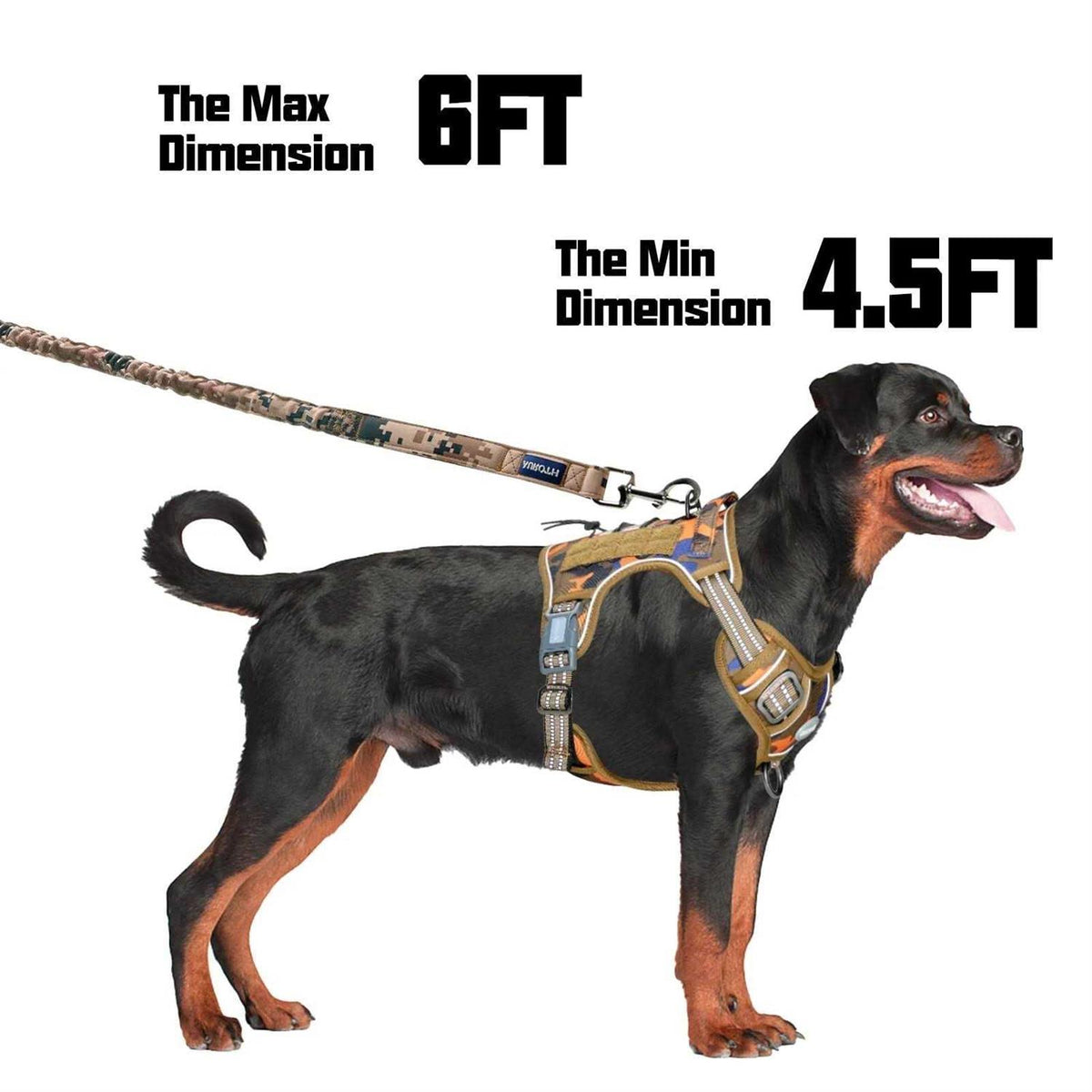 Heavy Duty Bungee Dog Leash C214206
