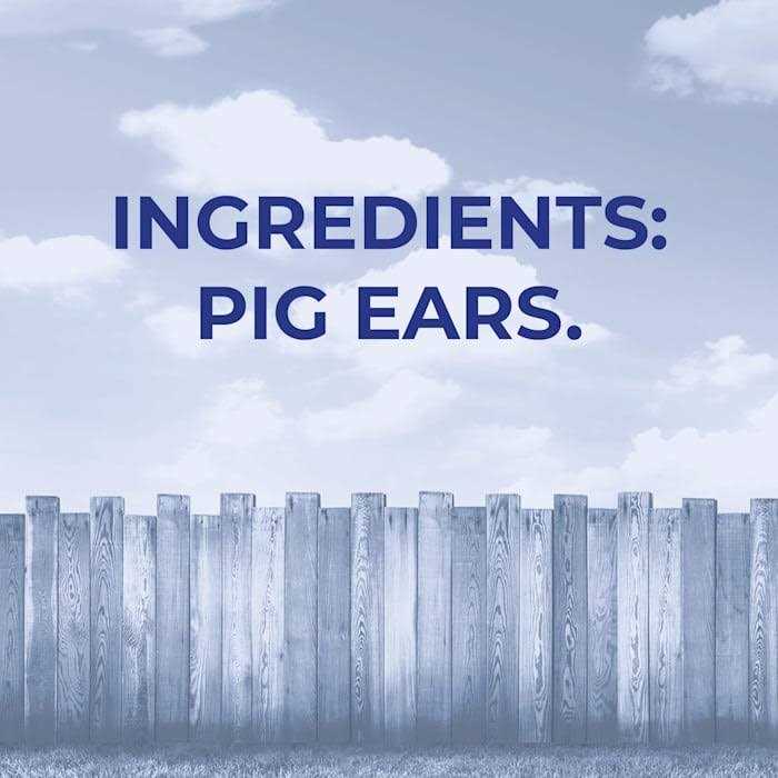 Pig Ears Dog Treat B64364