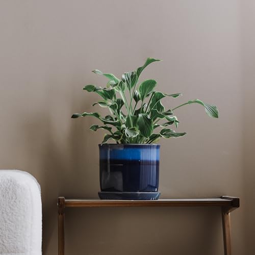 8 Inch Ceramic Planter Pot with Drainage Hole & Saucer Blue Reactive Glaze X933640
