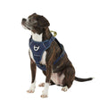 Navy Quick-Dry Dog Harness N549