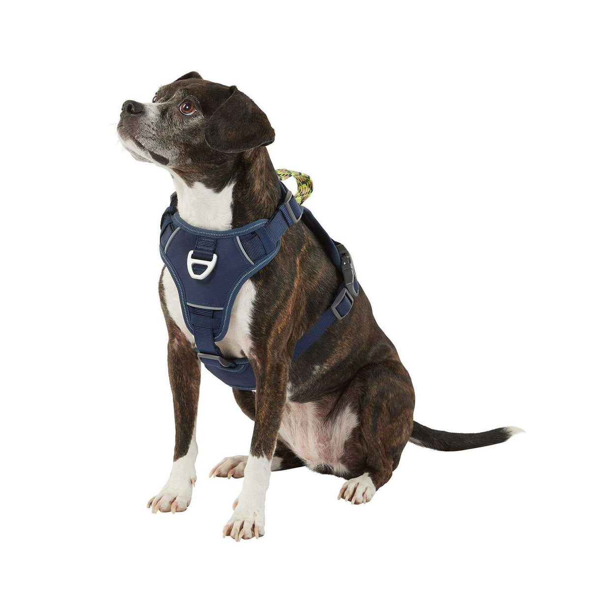 Navy Quick-Dry Dog Harness N549