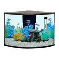 Corner Tank Aquarium Starter Kit N665