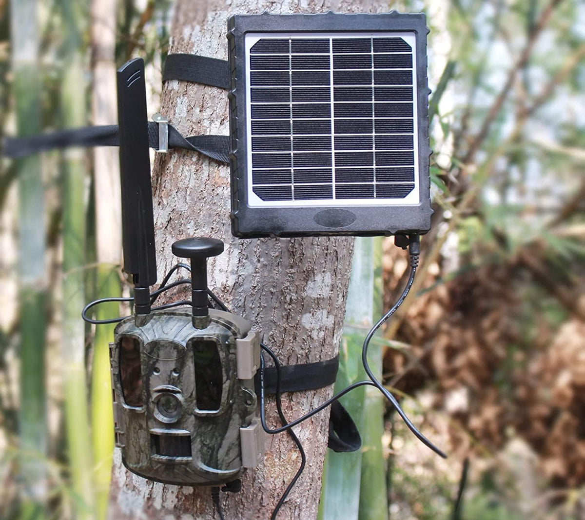 Trail Camera Solar Panel Kit 6V/9V/12V Output 8000 mAh Rechargeable Lithium Battery IP67 Waterproof Pack of 2 D1501